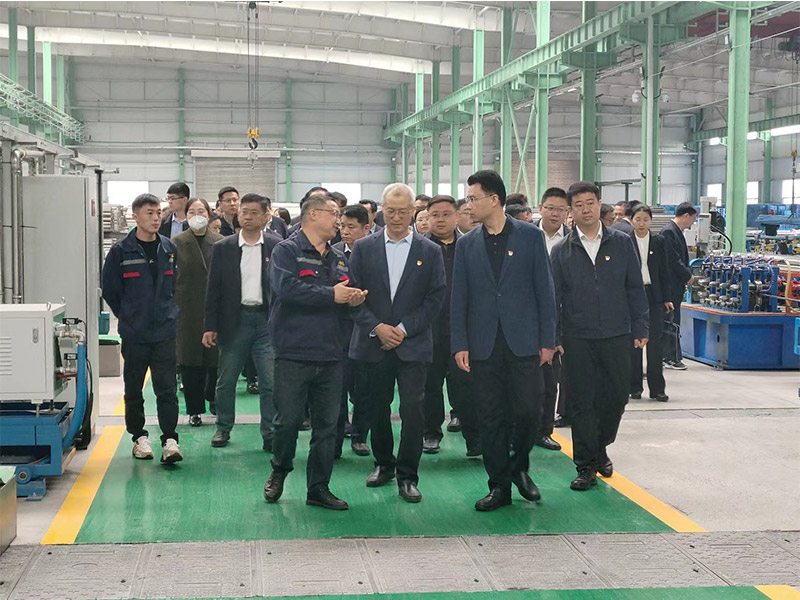 領(lǐng)導(dǎo)視察